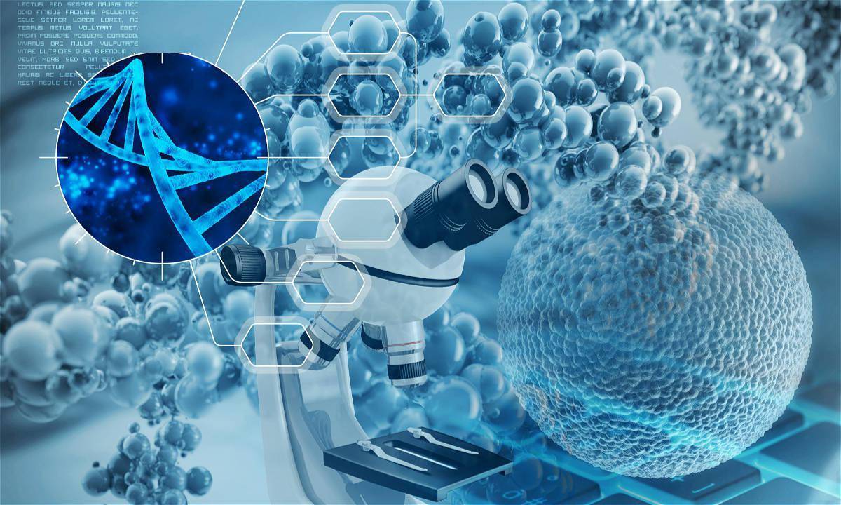 生物基材料及中间体研发商利夫生物完成近两亿元b轮__